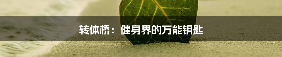转体桥:健身界的万能钥匙