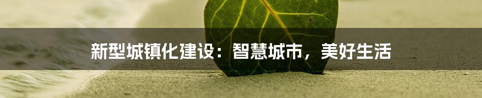 新型城镇化建设:智慧城市,美好生活