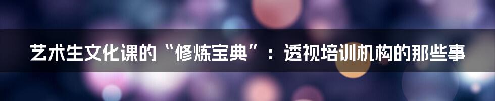 艺术生文化课的“修炼宝典”:透视培训机构的那些事