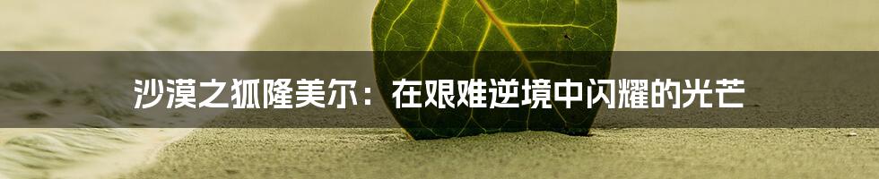 沙漠之狐隆美尔：在艰难逆境中闪耀的光芒