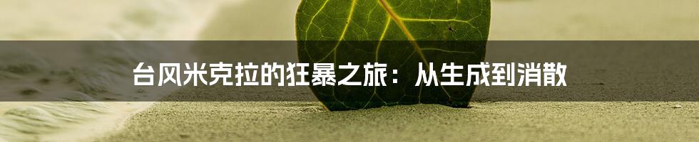 台风米克拉的狂暴之旅:从生成到消散