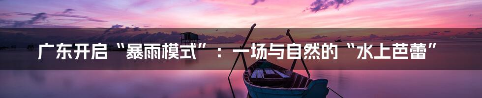 广东开启“暴雨模式”：一场与自然的“水上芭蕾”