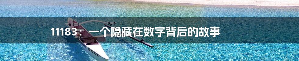 11183:一个隐藏在数字背后的故事