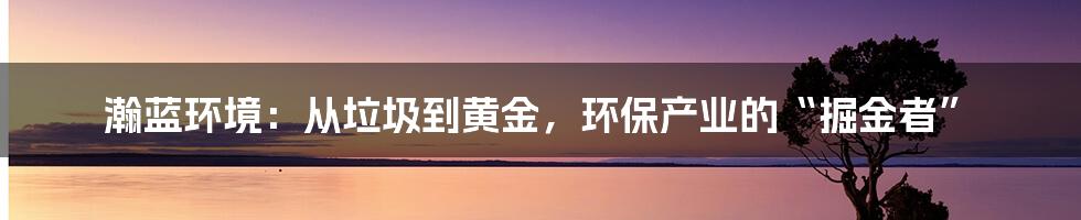 瀚蓝环境:从垃圾到黄金,环保产业的“掘金者”