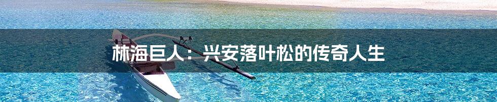 林海巨人:兴安落叶松的传奇人生