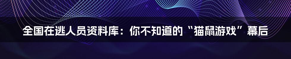全国在逃人员资料库：你不知道的“猫鼠游戏”幕后
