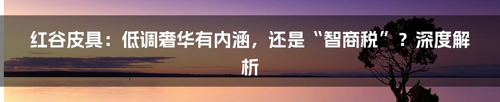 红谷皮具:低调奢华有内涵,还是“智商税”?深度解析