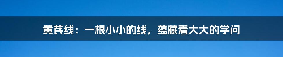 黄芪线：一根小小的线，蕴藏着大大的学问