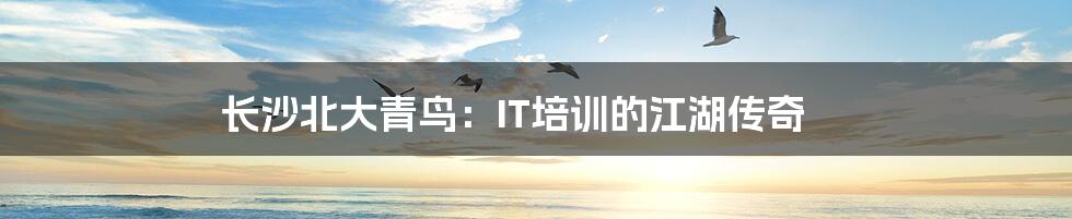 长沙北大青鸟:IT培训的江湖传奇