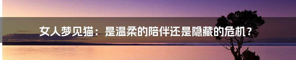 女人梦见猫:是温柔的陪伴还是隐藏的危机?