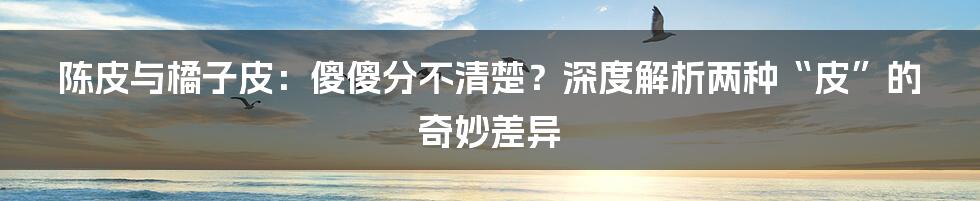 陈皮与橘子皮：傻傻分不清楚？深度解析两种“皮”的奇妙差异