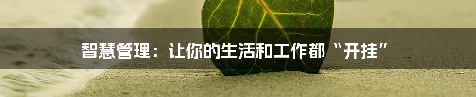 智慧管理:让你的生活和工作都“开挂”