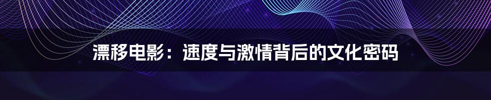 漂移电影:速度与激情背后的文化密码
