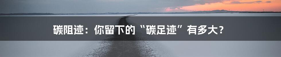 碳阻迹：你留下的“碳足迹”有多大？