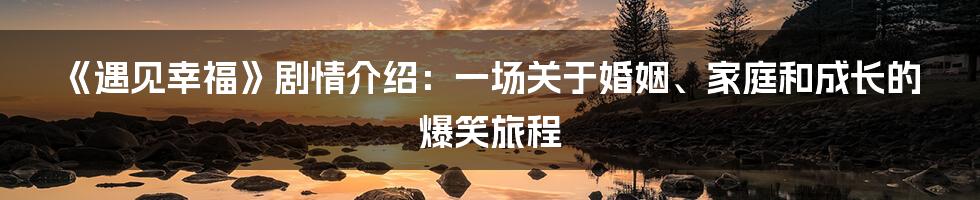 《遇见幸福》剧情介绍:一场关于婚姻、家庭和成长的爆笑旅程