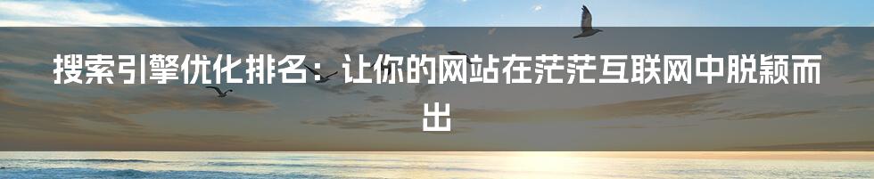 搜索引擎优化排名:让你的网站在茫茫互联网中脱颖而出