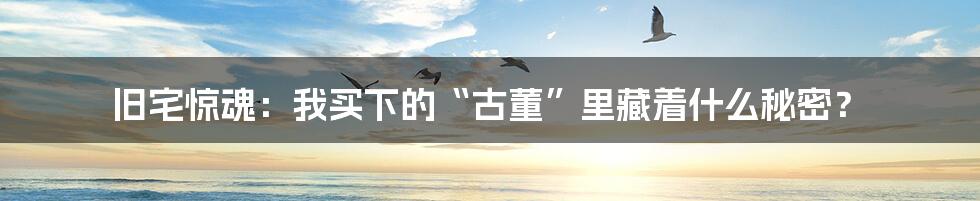旧宅惊魂:我买下的“古董”里藏着什么秘密?