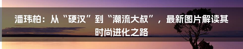 潘玮柏:从“硬汉”到“潮流大叔”,最新图片解读其时尚进化之路