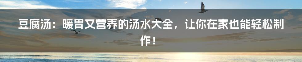 豆腐汤:暖胃又营养的汤水大全,让你在家也能轻松制作!