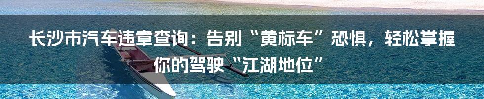 长沙市汽车违章查询：告别“黄标车”恐惧，轻松掌握你的驾驶“江湖地位”