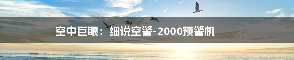 空中巨眼:细说空警-2000预警机