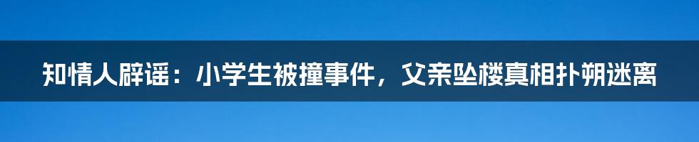 知情人辟谣:小学生被撞事件,父亲坠楼真相扑朔迷离
