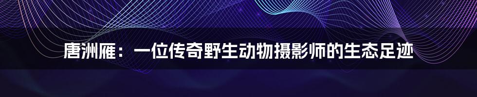 唐洲雁:一位传奇野生动物摄影师的生态足迹