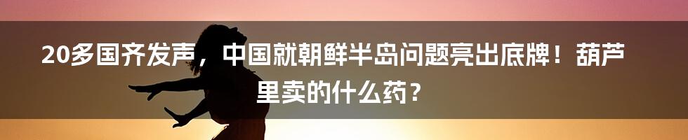 20多国齐发声，中国就朝鲜半岛问题亮出底牌！葫芦里卖的什么药？
