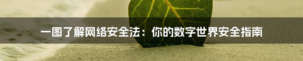 一图了解网络安全法:你的数字世界安全指南