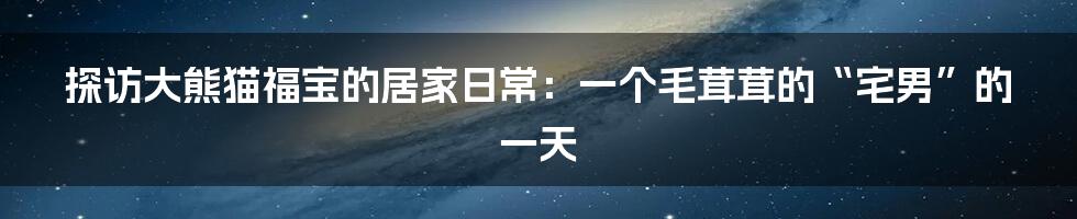 探访大熊猫福宝的居家日常:一个毛茸茸的“宅男”的一天