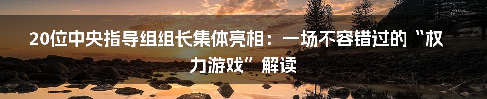 20位中央指导组组长集体亮相:一场不容错过的“权力游戏”解读