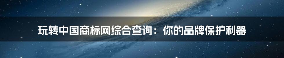 玩转中国商标网综合查询:你的品牌保护利器