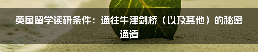 英国留学读研条件:通往牛津剑桥(以及其他)的秘密通道