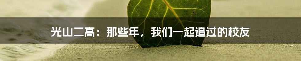 光山二高：那些年，我们一起追过的校友