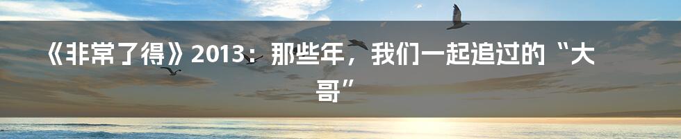《非常了得》2013:那些年,我们一起追过的“大哥”