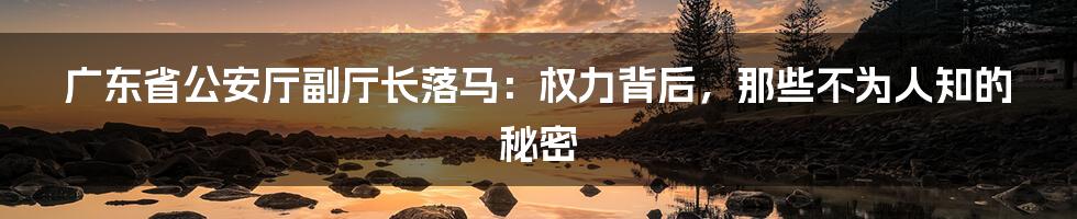 广东省公安厅副厅长落马:权力背后,那些不为人知的秘密