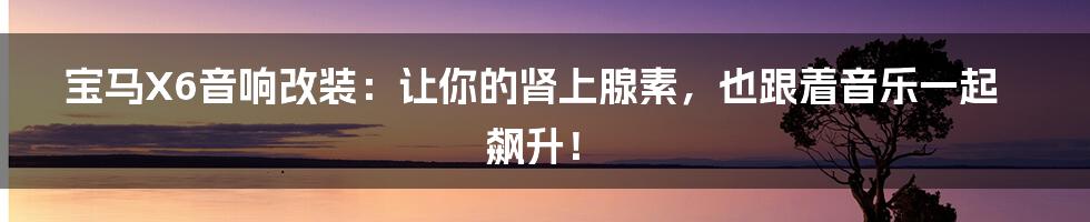 宝马X6音响改装:让你的肾上腺素,也跟着音乐一起飙升!