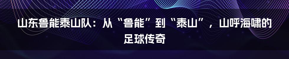 山东鲁能泰山队:从“鲁能”到“泰山”,山呼海啸的足球传奇
