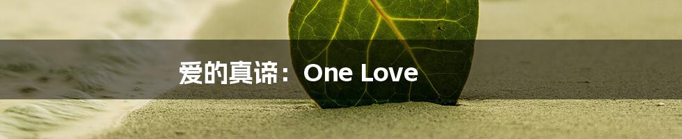 爱的真谛:One Love