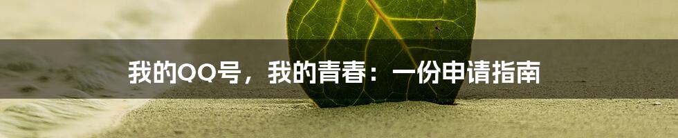 我的QQ号，我的青春：一份申请指南
