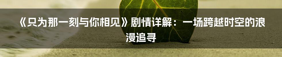 《只为那一刻与你相见》剧情详解:一场跨越时空的浪漫追寻