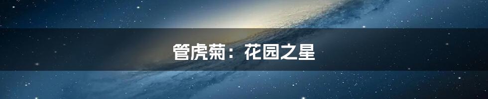 管虎菊：花园之星