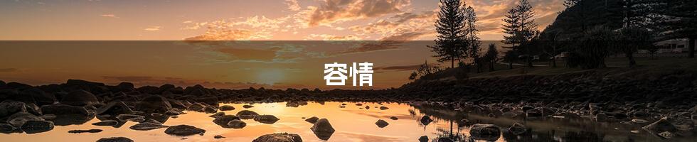 容情