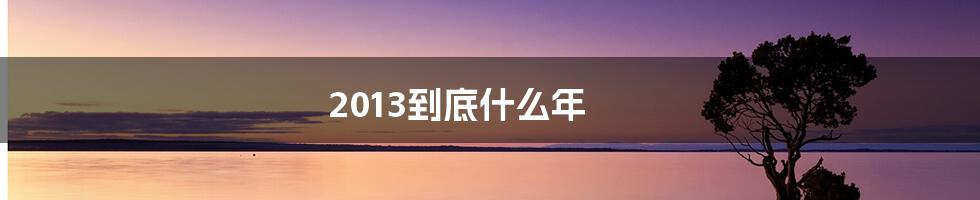 2013到底什么年