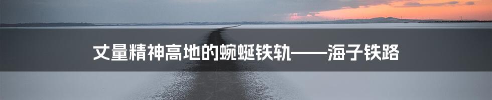 丈量精神高地的蜿蜒铁轨——海子铁路