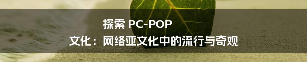 探索 PC-POP 文化:网络亚文化中的流行与奇观