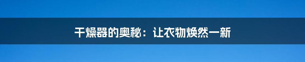 干燥器的奥秘：让衣物焕然一新