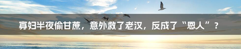 寡妇半夜偷甘蔗，意外救了老汉，反成了“恩人”？