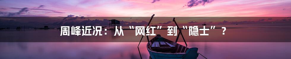 周峰近况:从“网红”到“隐士”?