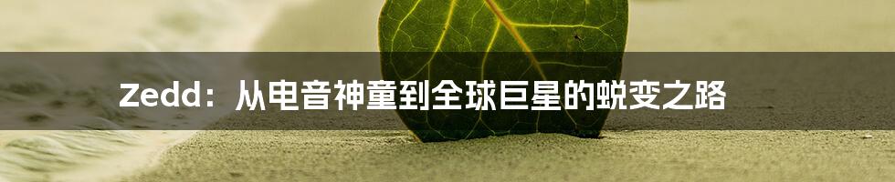 Zedd：从电音神童到全球巨星的蜕变之路
